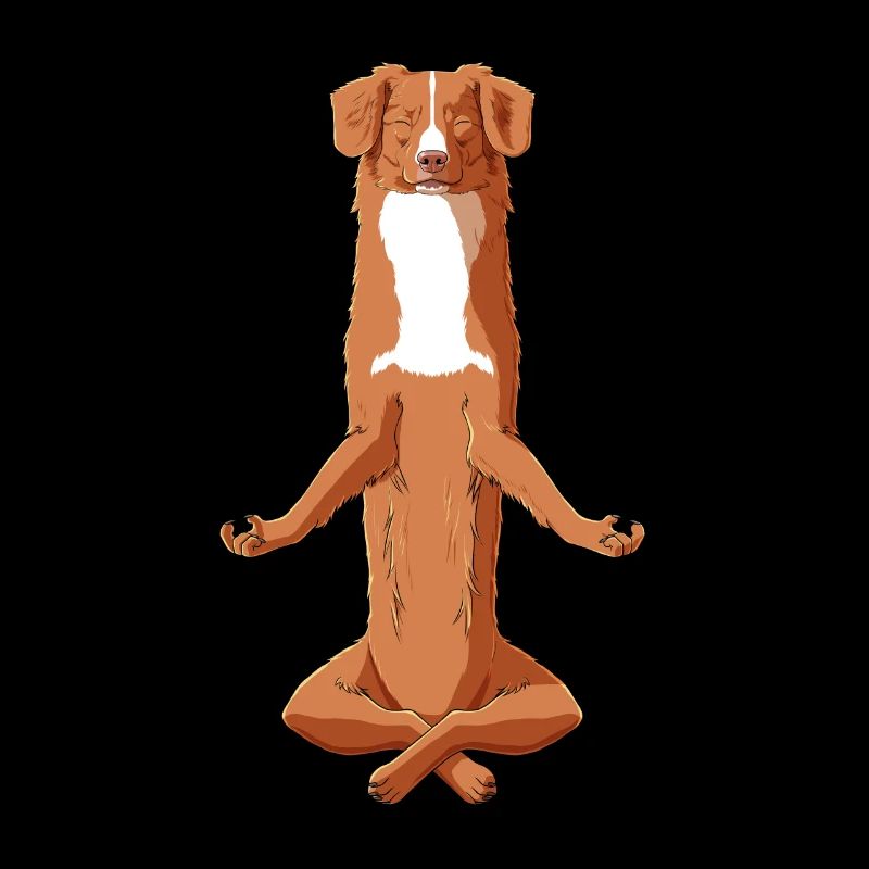 Meditierender Nova Scotia Duck Tolling Retriever