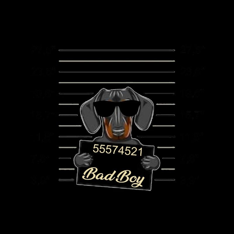 Bad Boy Dackel oder junger Dobermann - Böser Hund