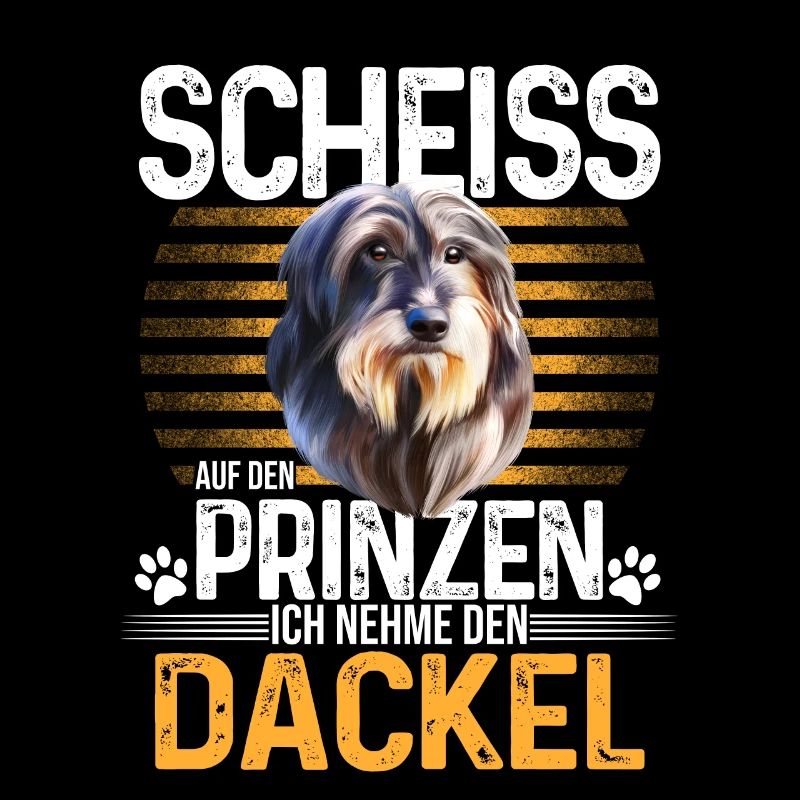 Dackel Dachshund Rauhaardackel