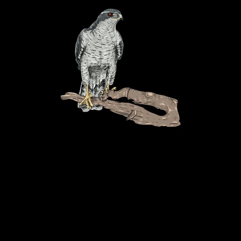 Faucon I chasseur chasseur de chasse de beirsion motif pour