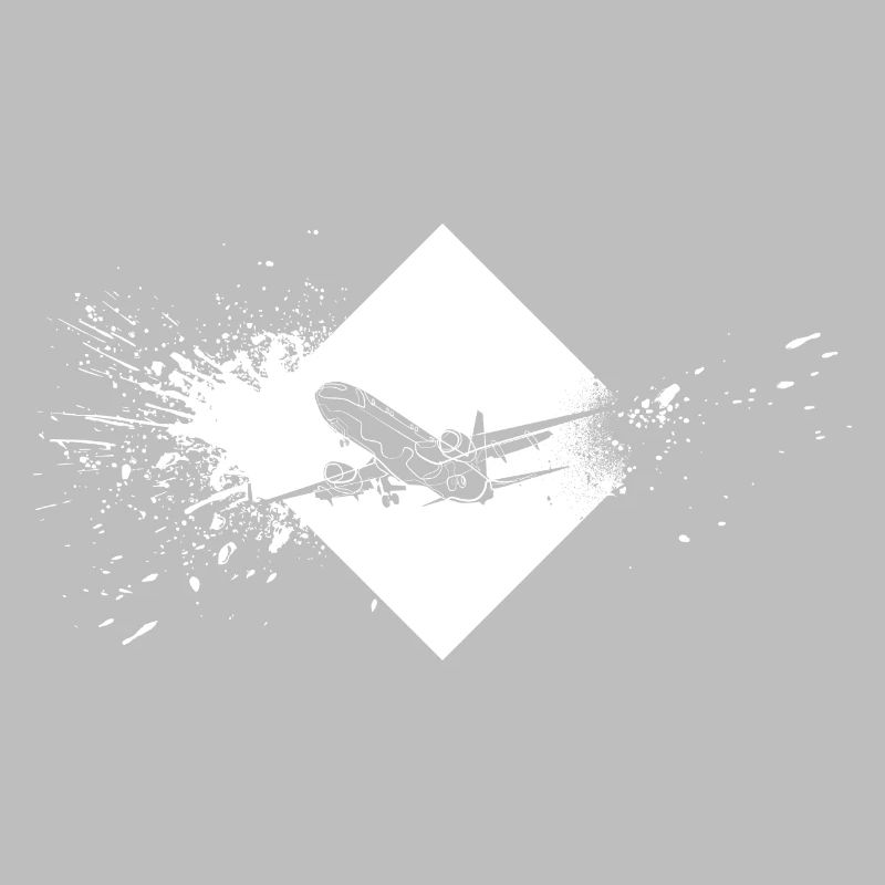 Flugzeug Flieger
