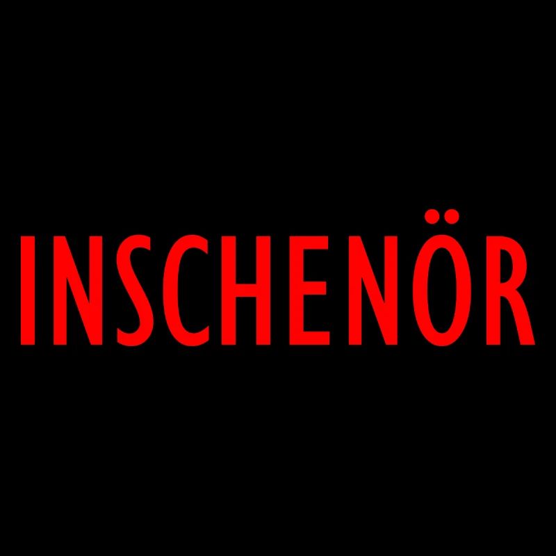 Inschenör Ingenieur Bachelor Master Diplom Student