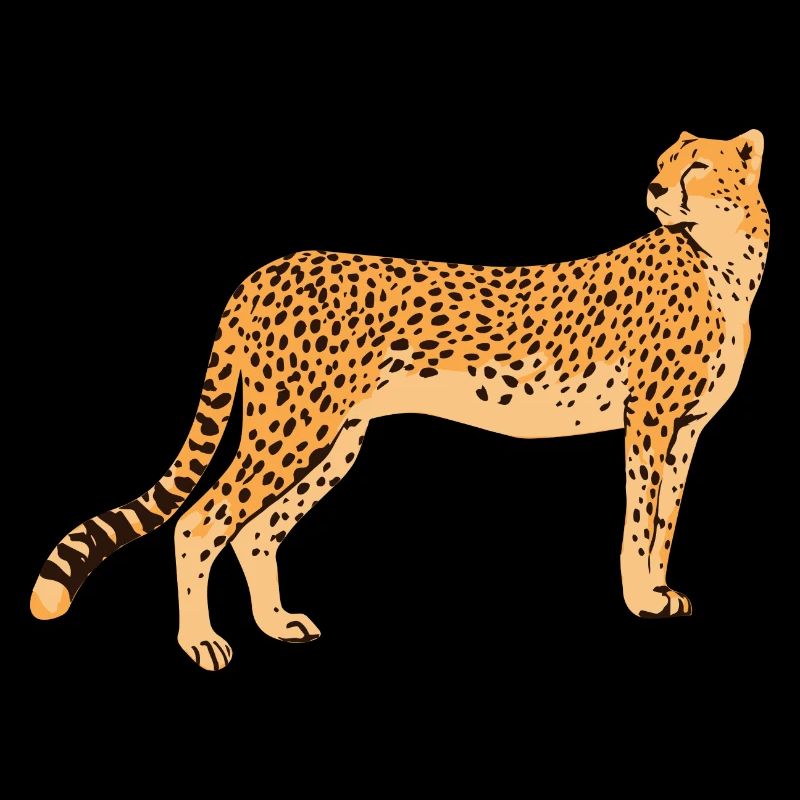 Gepard