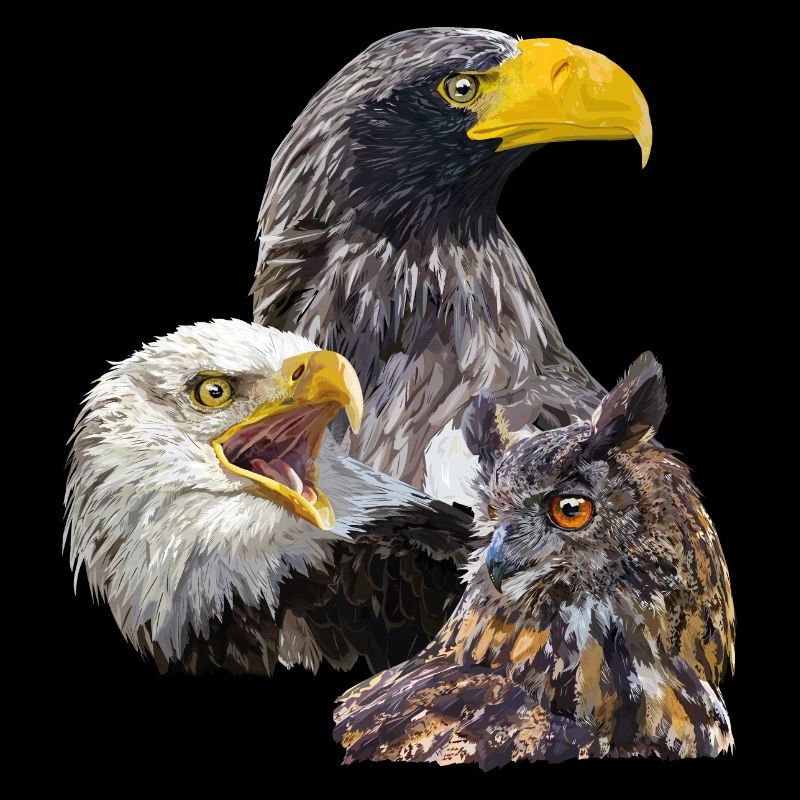 Pigargos et hibou
