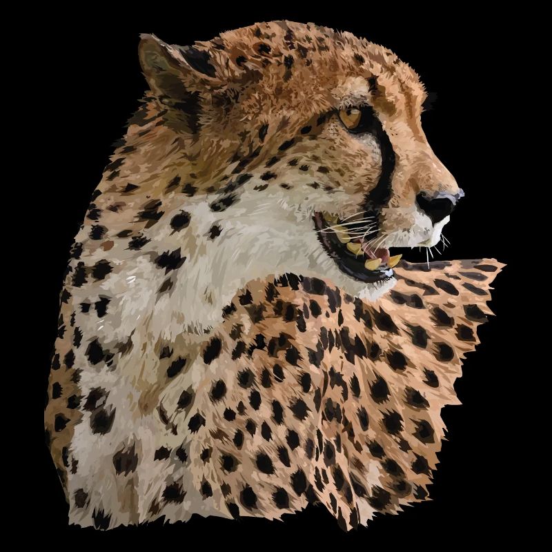 cheetah