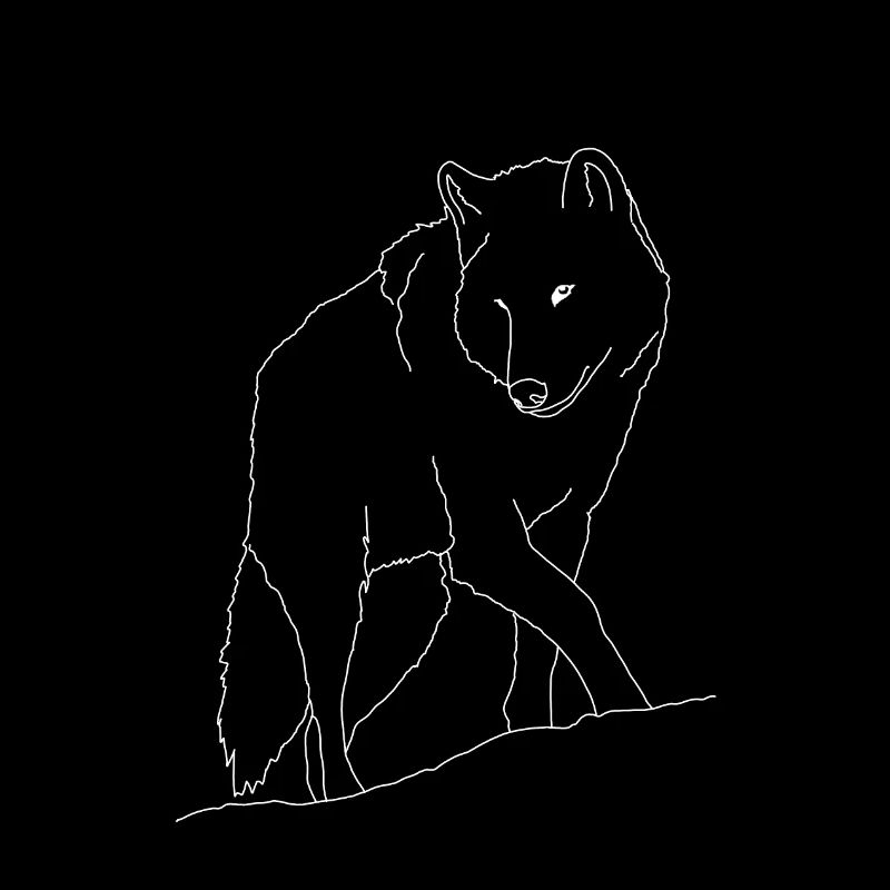 wolf