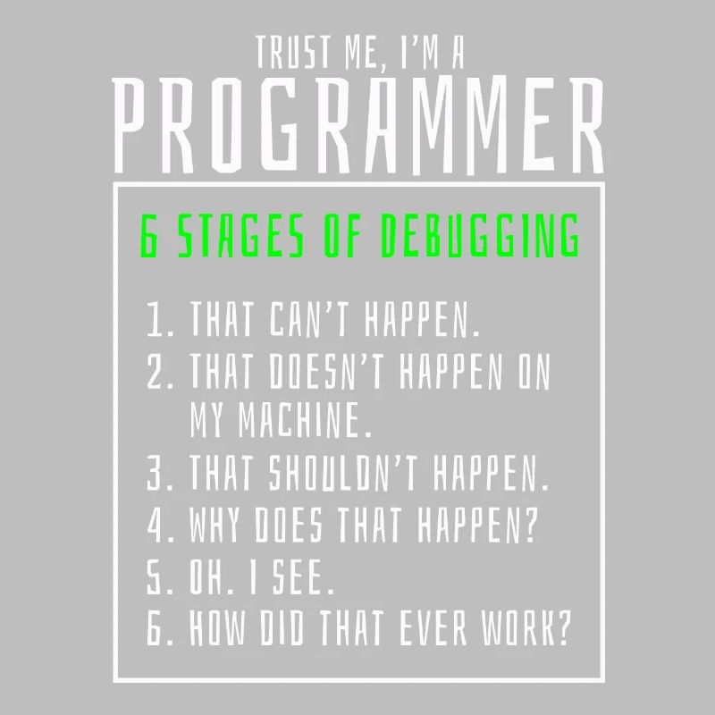 Debugging stages computer programmer