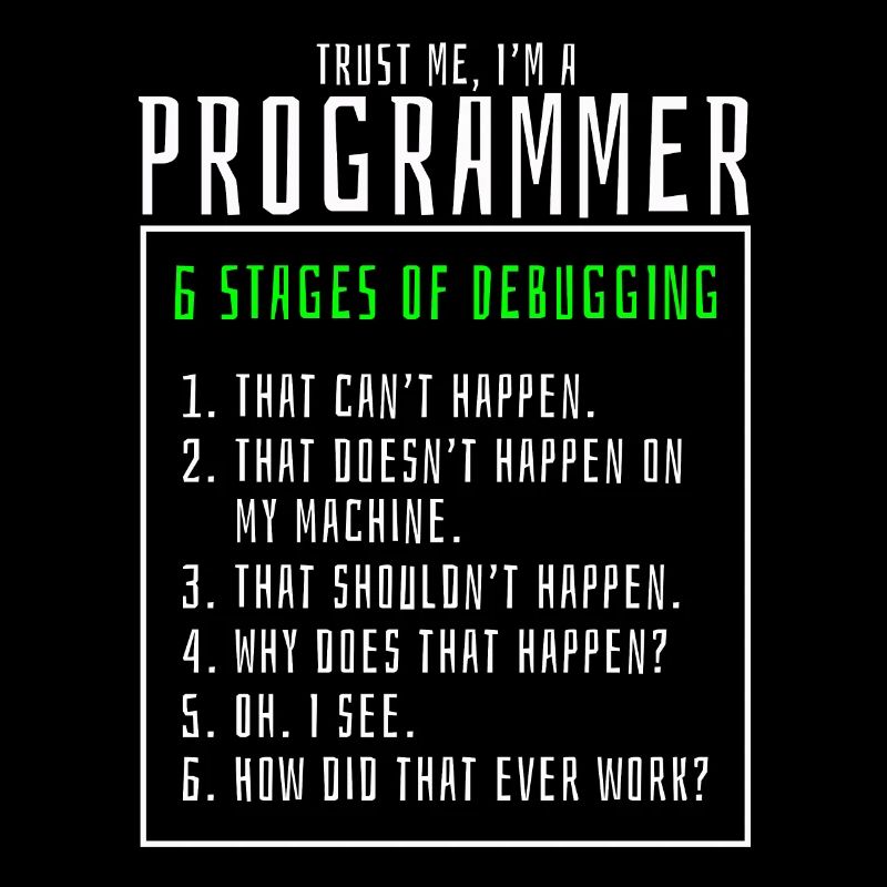 Debugging stages computer programmer