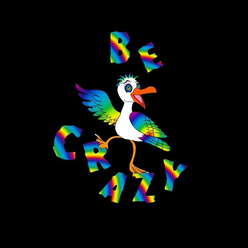 BE CRAZY Regenbogen Schriftzug mit Moewe
