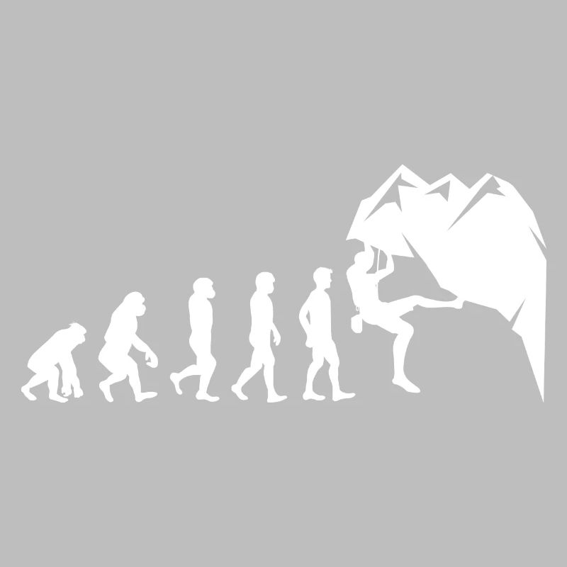 Rock Climbing Bouldering Wall Climber Evolution
