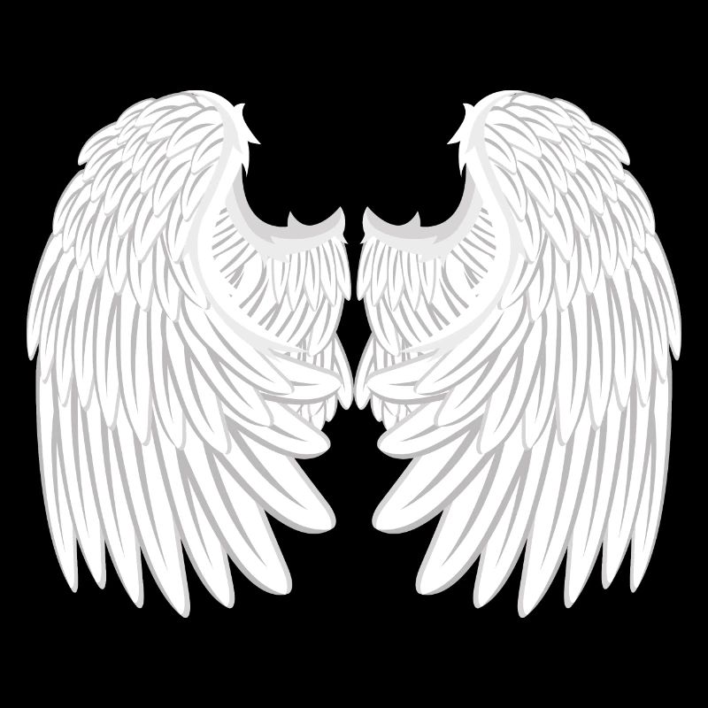 Ailes d'anges