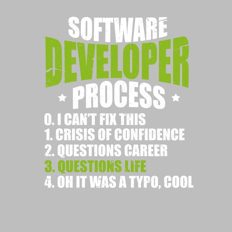 Softwareentwickler Programmierer Software