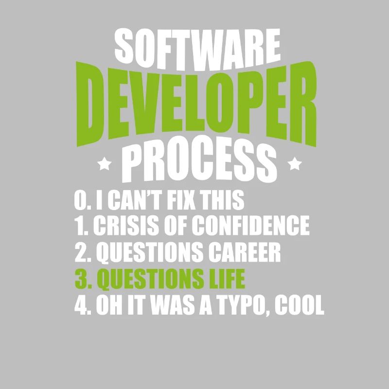 software developer