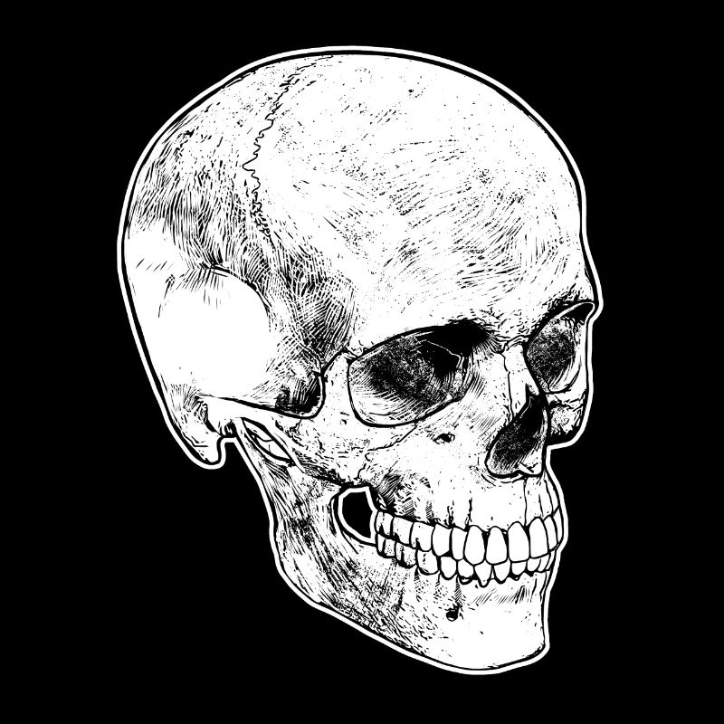 Crâne Crâne Pirate Mort