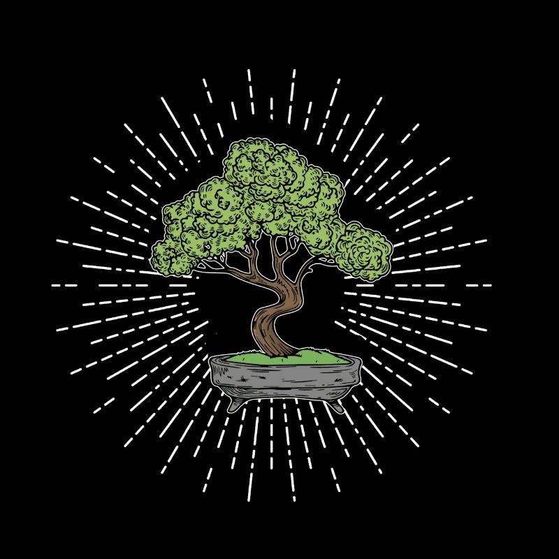 Japanese bonsai tree