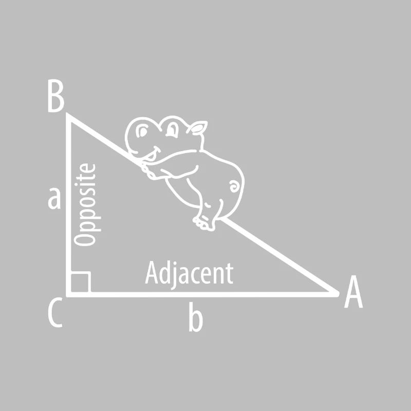 Pythagorean theorem
