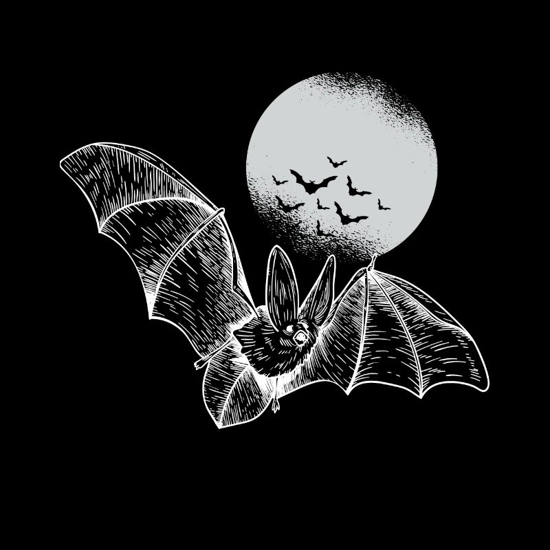 Fledermaus Halloween Fledermäuse gruslig