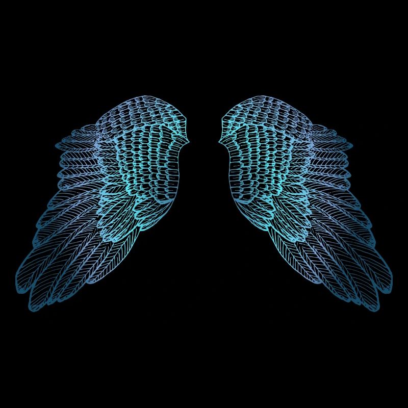 Ailes d'ange aux tons bleus