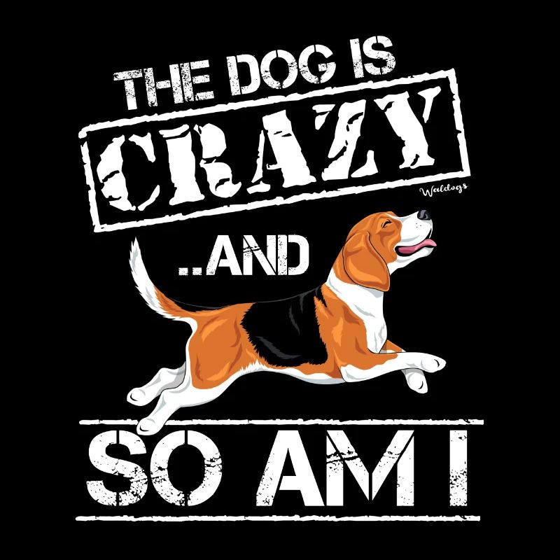 Beagle Crazy
