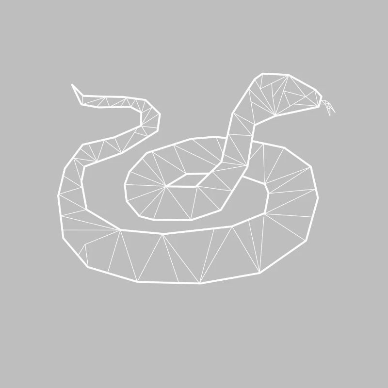 Python geometric