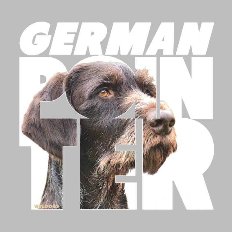 German Pointer VII