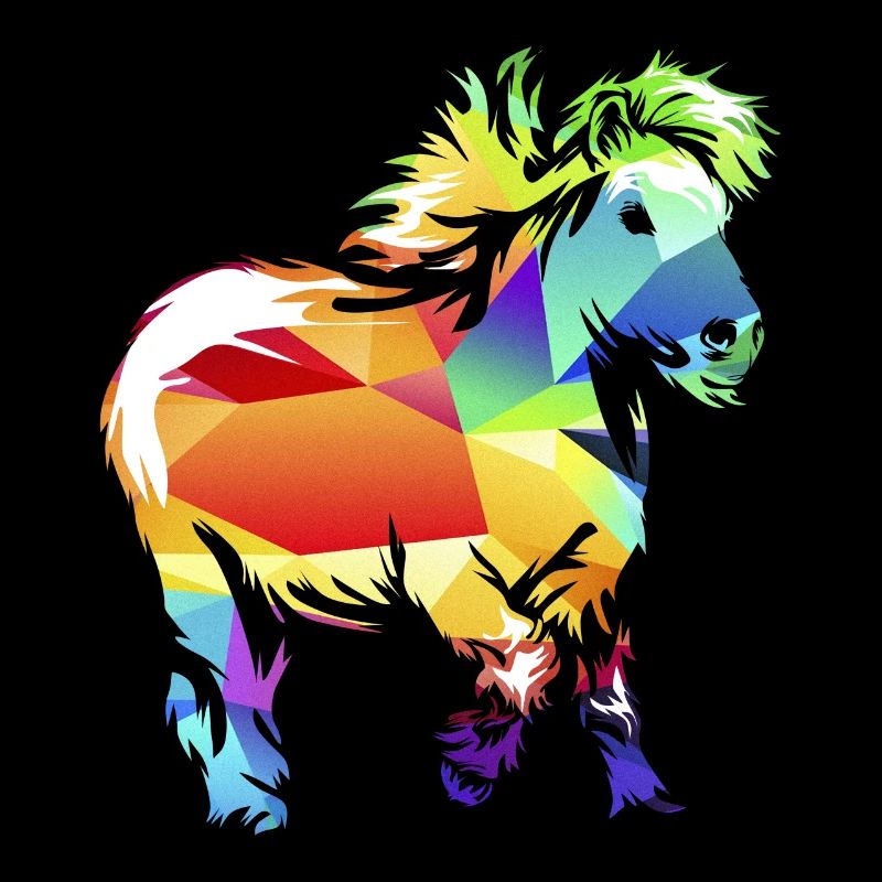 Shetland pony