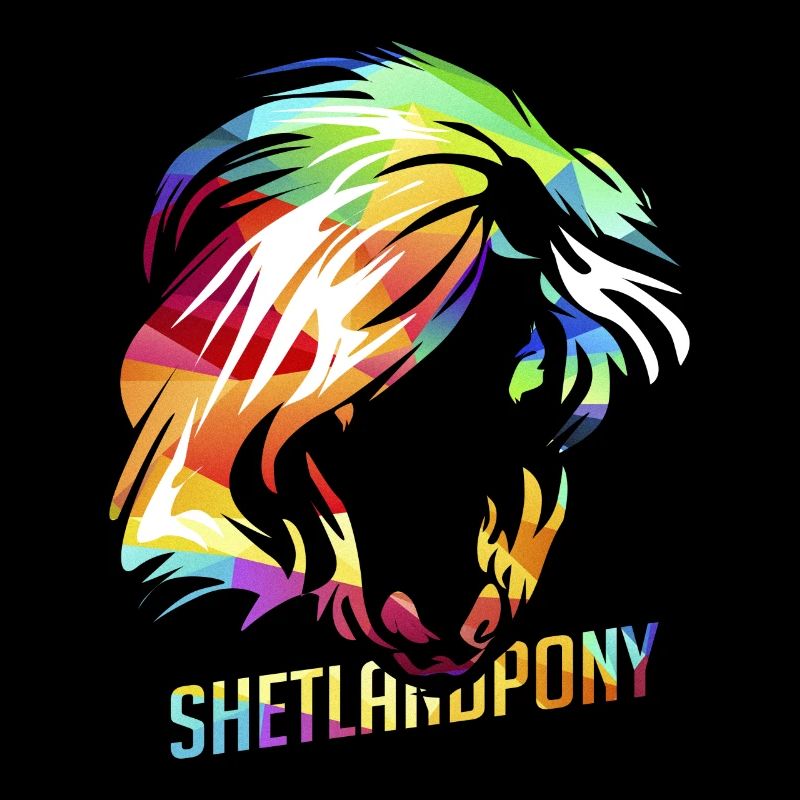 Shetland pony