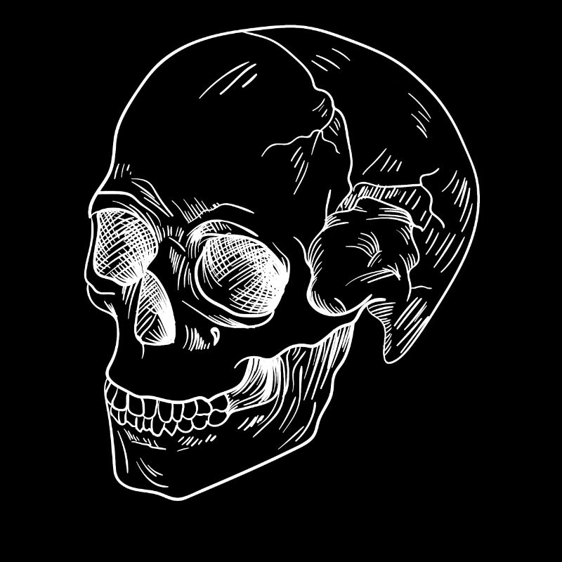 Totenkopf Skull