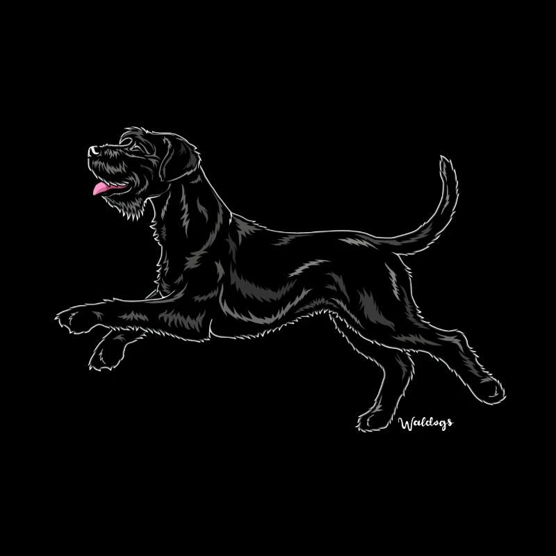Schnauzer Géant Riesenschnauzer