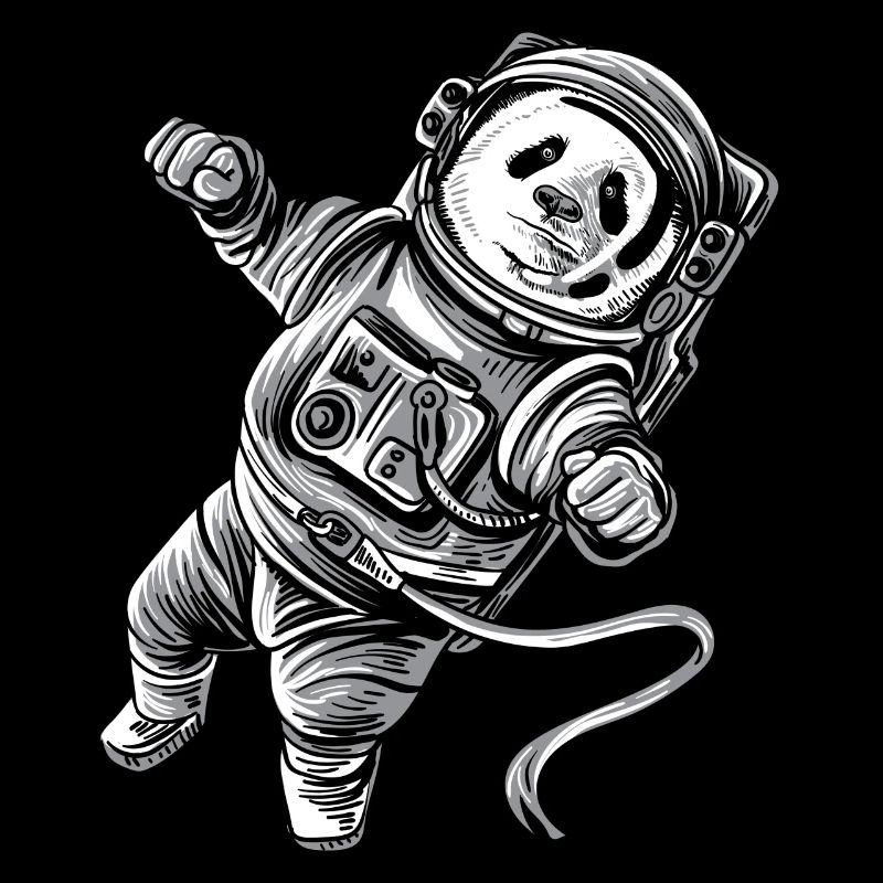 Astronaut Panda in Space Panda Bear Astropanda