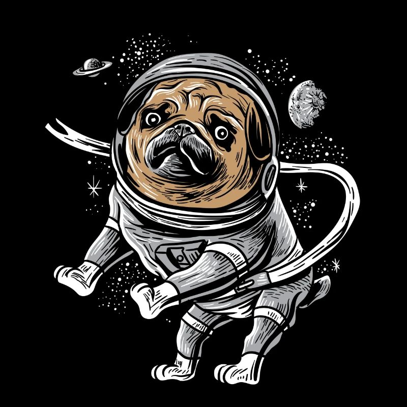 Astronaut Pug Astropug Pet for Space Pug Lover