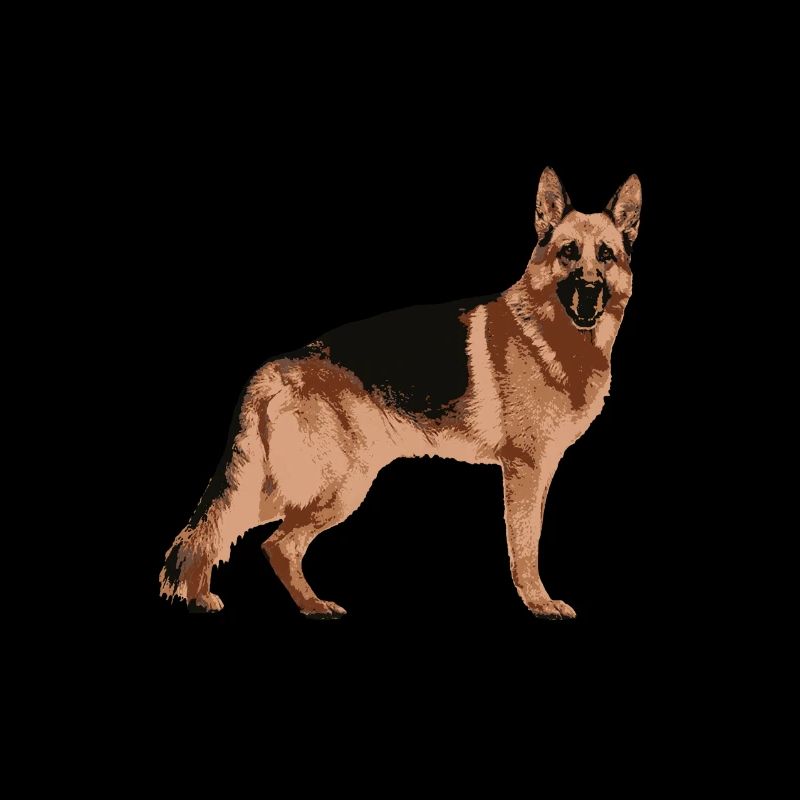 Deutscher Schäferhund