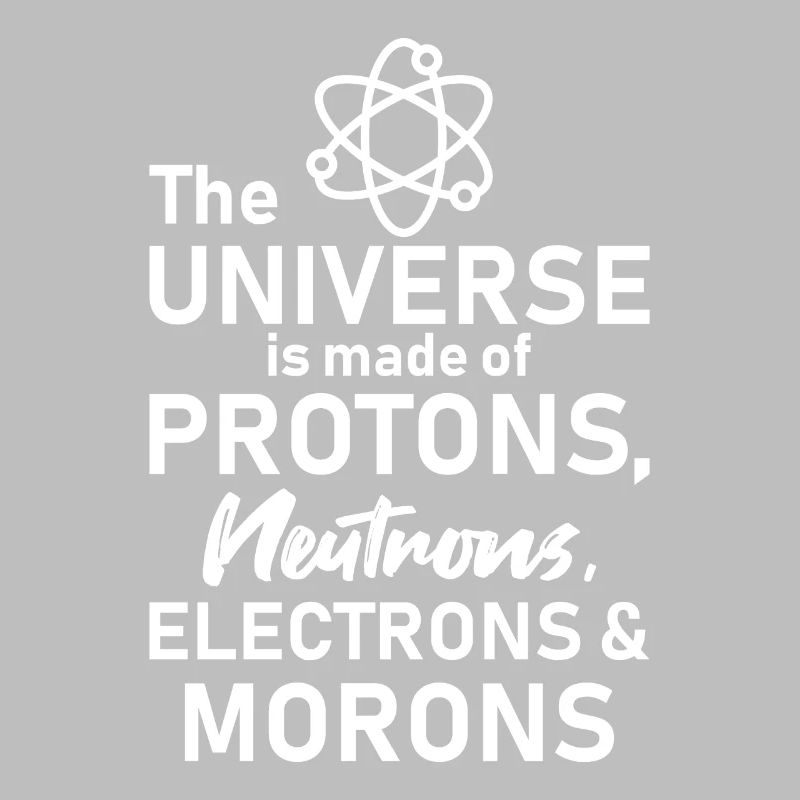 Morons Physics Physicist Quote Gift Funny