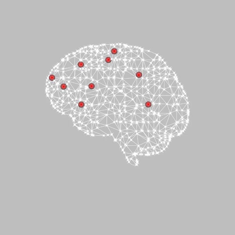 Nerd Network Brain Activity