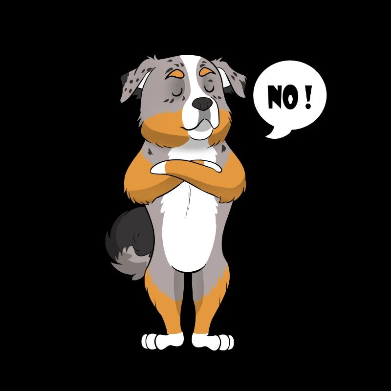 Australian Shepherd Drôle - Australian Shepherd