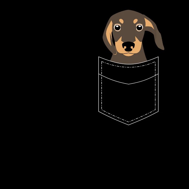 Teckel de chien de poche