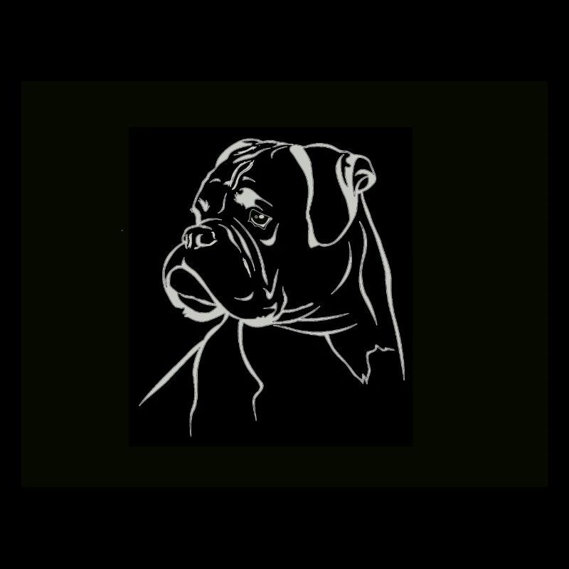 Hund Boxer schön HundeTier