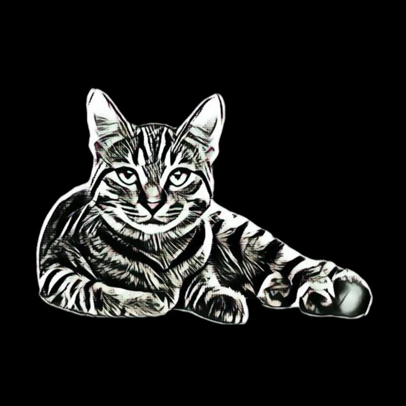 Katze