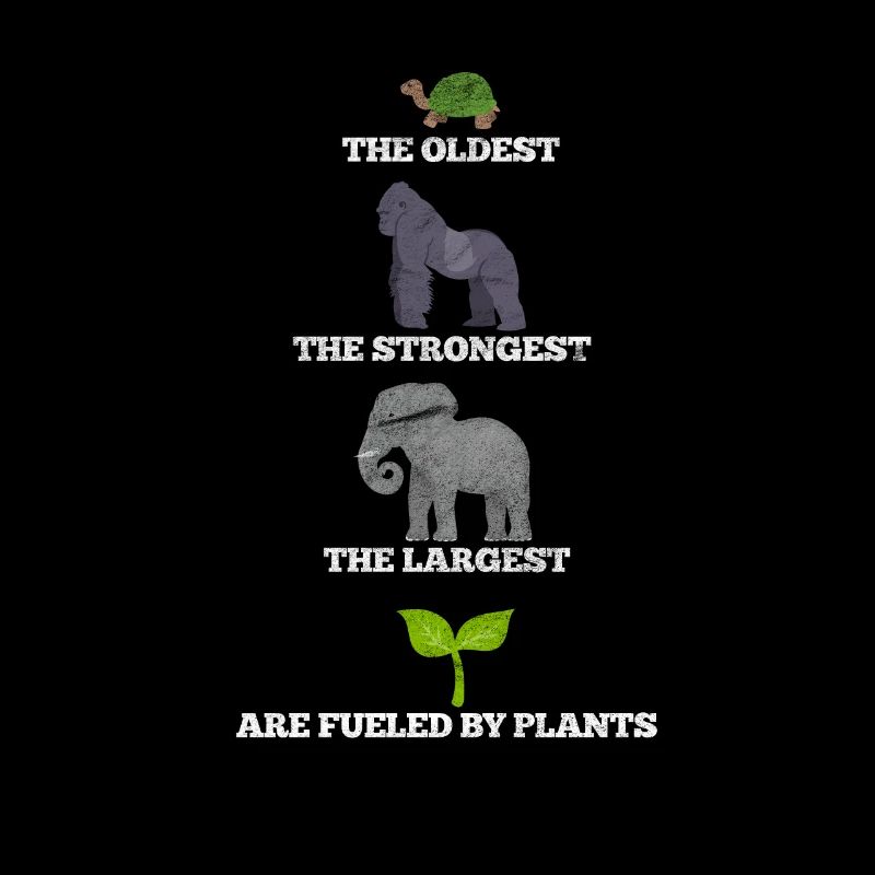 Végétalien Végétalien Végétalien Végétarien Végétarien