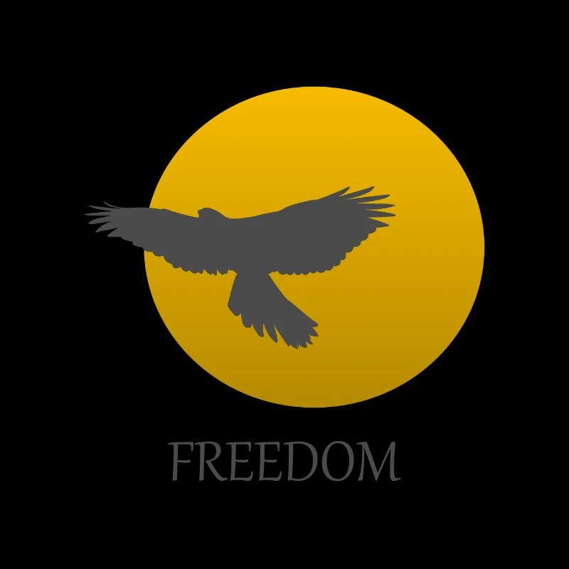 Vogel Greifvogel Freiheit