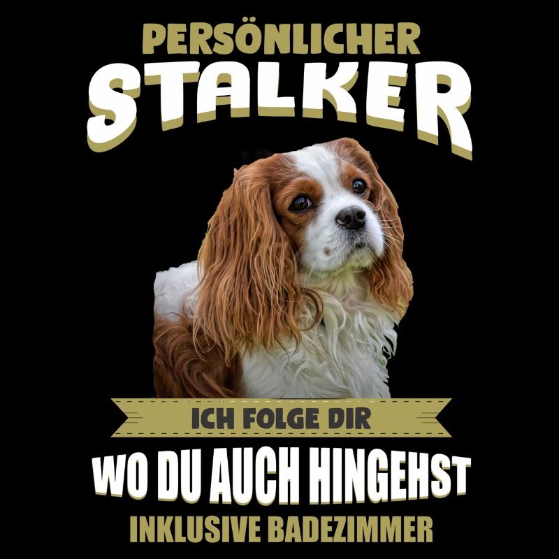 Cavalier King Charles - Cavalier King Charles