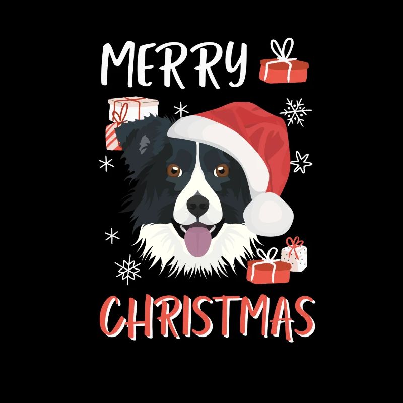 Border Collie Weihnachten