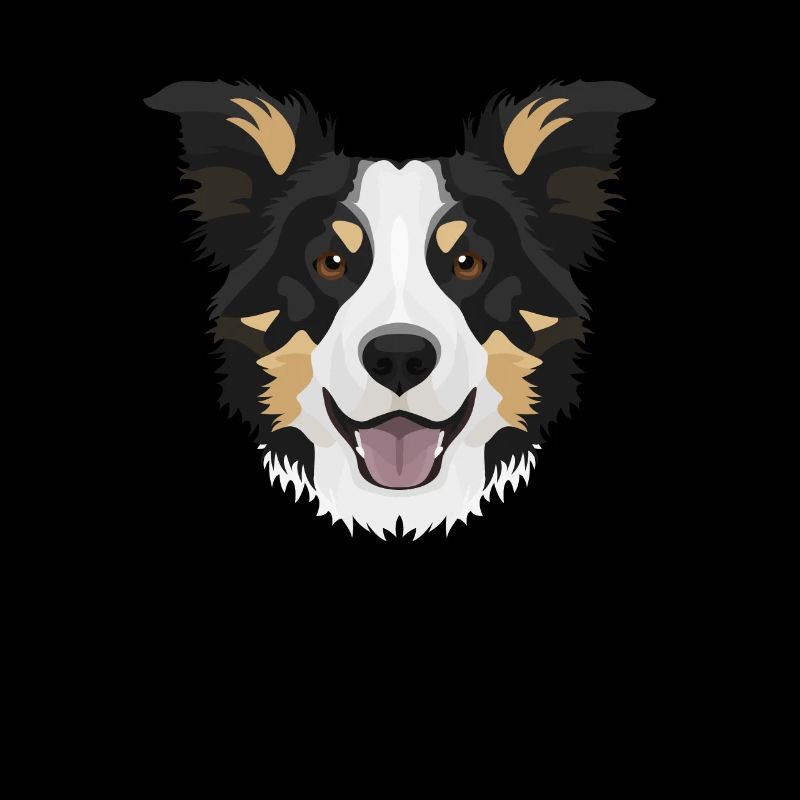 Border Collie souriant
