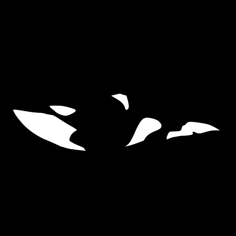 Orca Baleine mer
