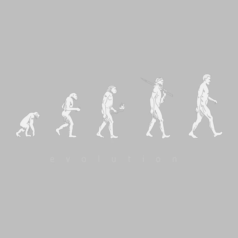 Human evolution
