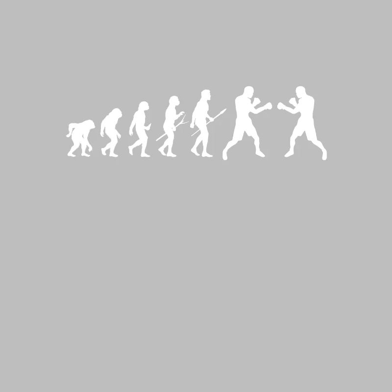 Evolution Boxboxer