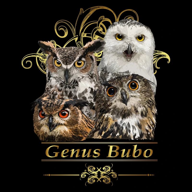hiboux