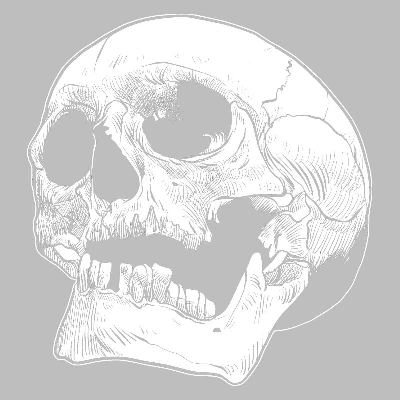 Skull skull skull bone head human