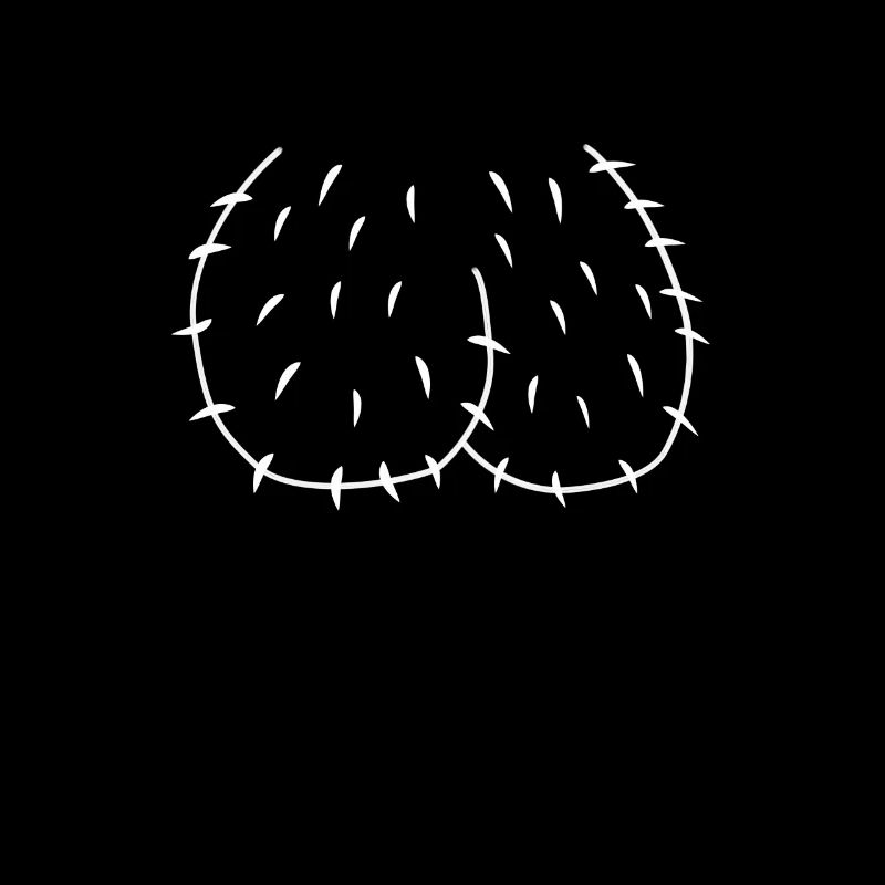 scrotum