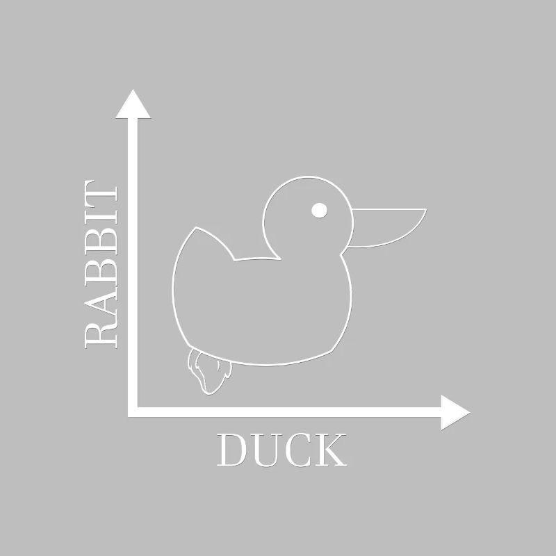 Rabbit Duck - Gone Wrong